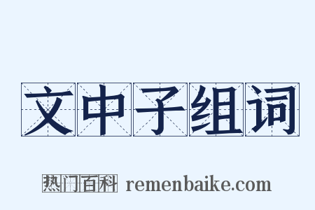 文中子组词是什么意思的图片